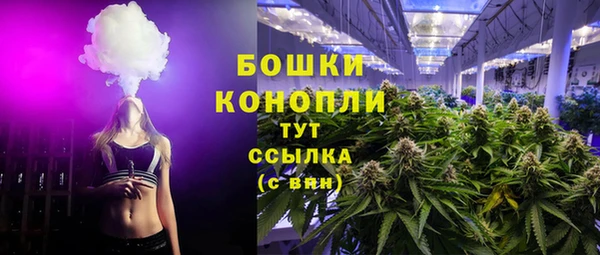 первитин Вяземский
